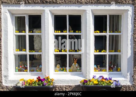 Heysham Lancashire, Vereinigtes Königreich. 8. April 2023. Fenster eines Hauses im Dorf Heysham, verkleidet für Osterkredit: PN News/Alamy Live News Stockfoto