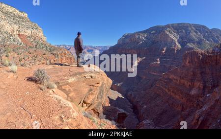 Ein Wanderer mit Blick von einer Klippe im Hermit Canyon am Grand Canyon, Grand Canyon National Park, UNESCO-Weltkulturerbe, Arizona Stockfoto