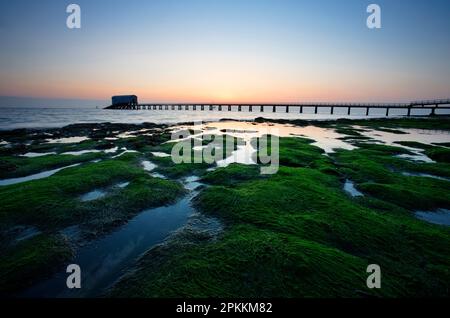 Bembridge Lifeboat Station and Shoreline at Dawn, Isle of Wight, England, Vereinigtes Königreich, Europa Stockfoto