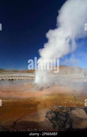 El Tatio Geyser Field, Atacama Desert Plateau, Chile, Südamerika Stockfoto