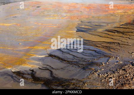 Schlamm, El Tatio Geyser Field, Atacama Desert Plateau, Chile, Südamerika Stockfoto