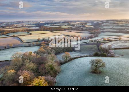 Hügelige Landschaft bei Sonnenaufgang an einem frostigen Wintermorgen, Devon, England, Vereinigtes Königreich, Europa Stockfoto