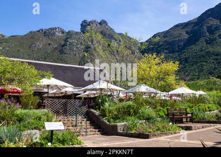 Restaurant im Kirstenbosch Botanical Garden, Kapstadt, Westkap, Südafrika mit Blick auf Castle Rock und Touristen, die auf der Freiluftterr essen Stockfoto
