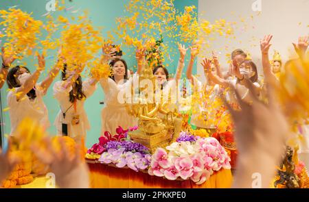 Gläubige streuen Blumen, um die vier Gesichter Buddhas auf dem Hong Kong Songkran Festival 2023 Medienvorschau-Event im Jahr D2Place, Lai Chi Kok, zu segnen. 05APR23 SCMP/Gelee Tse Stockfoto