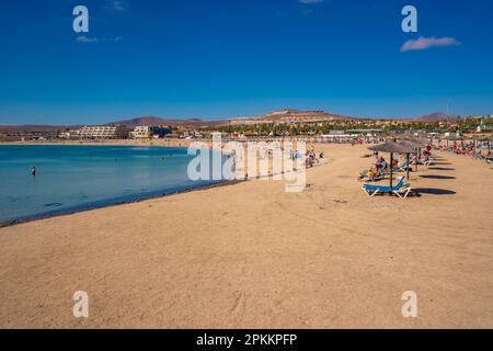 Blick auf Playa del Castillo Beach in Castillo Caleta de Fuste, Fuerteventura, Kanarische Inseln, Spanien, Atlantik, Europa Stockfoto