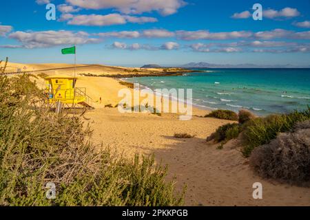 Blick auf den Strand, Surfer und den Atlantischen Ozean an einem sonnigen Tag, Corralejo Natural Park, Fuerteventura, Kanarische Inseln, Spanien, Atlantik, Europa Stockfoto