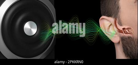 Moderner Audiolautsprecher und Mann, der Musik auf schwarzem Hintergrund hört, Nahaufnahme des Ohrs. Bannerdesign Stockfoto