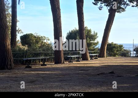 Terrasse mit Bänken und Kiefern in einem Park am Meer bei Sonnenuntergang Stockfoto