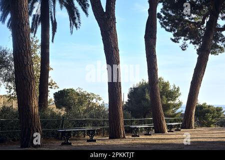 Terrasse mit Bänken und Kiefern in einem Park am Meer bei Sonnenuntergang Stockfoto