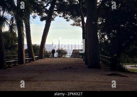 Terrasse mit Bänken und Kiefern in einem Park am Meer bei Sonnenuntergang Stockfoto