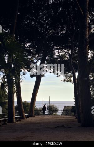 Terrasse mit Bänken und Kiefern in einem Park am Meer bei Sonnenuntergang Stockfoto