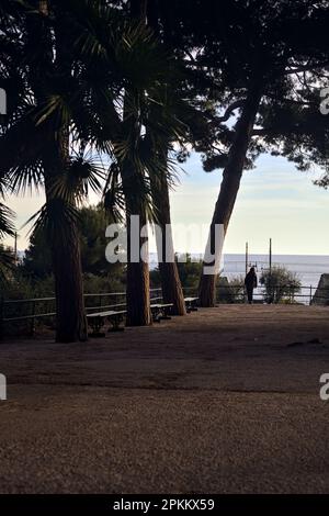 Terrasse mit Bänken und Kiefern in einem Park am Meer bei Sonnenuntergang Stockfoto