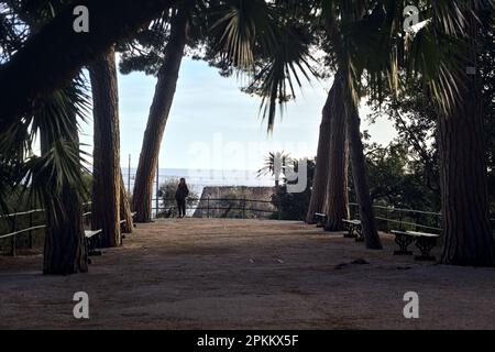 Terrasse mit Bänken und Kiefern in einem Park am Meer bei Sonnenuntergang Stockfoto