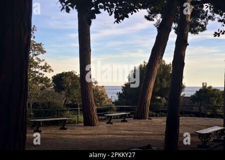 Terrasse mit Bänken und Kiefern in einem Park am Meer bei Sonnenuntergang Stockfoto