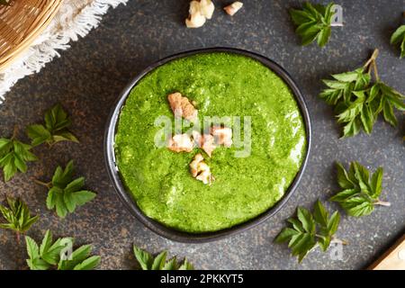 Frischer grüner Pesto aus jungen Goutweed- oder gemahlenen Altenblättern - wilde essbare Pflanze Stockfoto