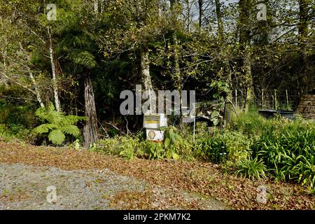 Oldtimer-Zapfsäule auf der Nordinsel Neuseelands Stockfoto