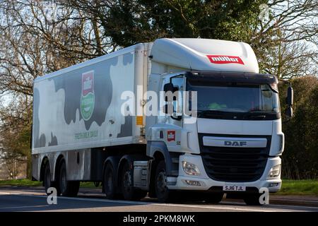 Bicester, Oxon, Großbritannien - April 7. 2023. 2016 DAF-LKW CF 460 FTG Lkw in Muller-Aufklebern auf einer englischen Landstraße Stockfoto