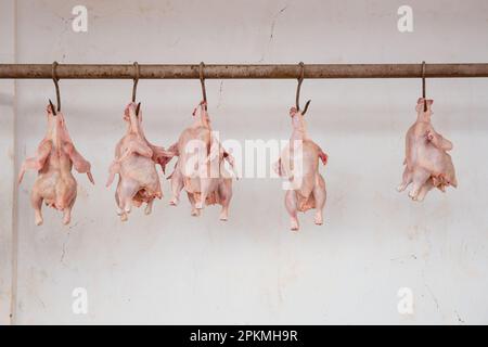 Frische Hühner hängen auf einem Berber-Metzgermarkt hintereinander Stockfoto