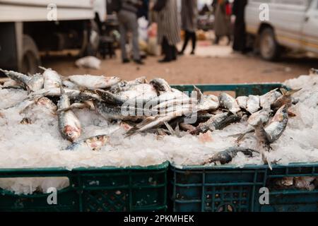 Frische Sardinen auf Eis zum Verkauf auf einem Berbermarkt Stockfoto