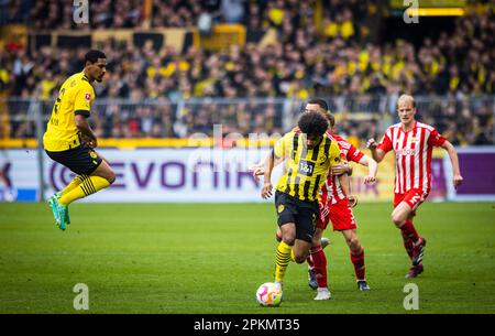 Dortmund, Deutschland. 8. April 2023. Sebastien Haller (BVB), Karim Adeyemi (BVB), Union’s Niko Giesselmann, Union's Morten Thorsby Borussia Dortmund - U Stockfoto