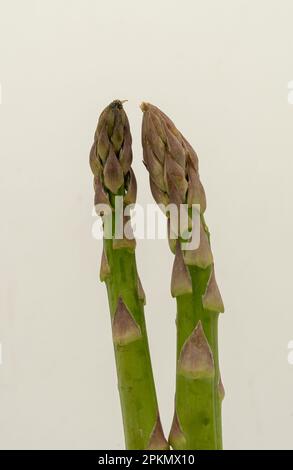 2 Spargel-Nahaufnahme. Frische Spargelspieße auf isoliertem weissen Hintergrund. Stockfoto