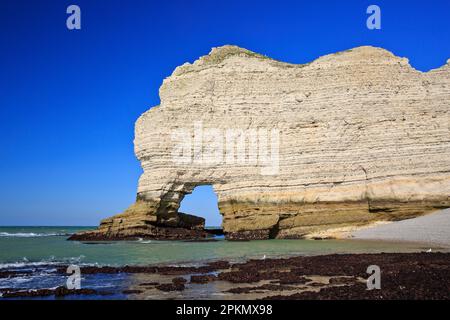 Porte d'Amont (Falaise d'Amont) in Etretat (seine-Maritime), Normandie, Frankreich Stockfoto