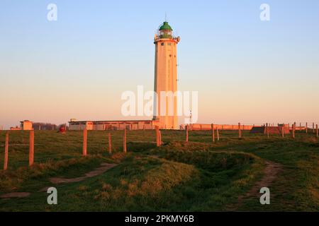 Der Leuchtturm Cap d'Antifer (1955) bei Sonnenuntergang in La Poterie-Cap-d'Antifer (seine-Maritime) in der Normandie, Frankreich Stockfoto