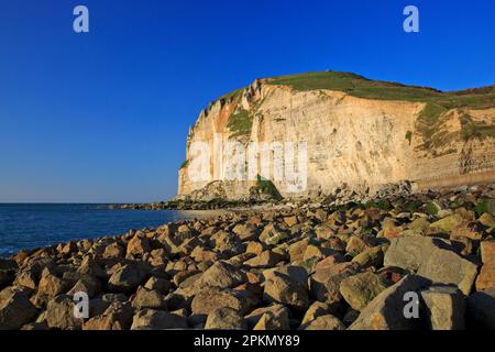 Alabasterküste in Saint-Jouin-Bruneval (seine-Maritime) in der Normandie, Frankreich Stockfoto