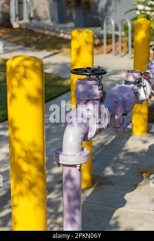 Ein Foto eines rosa-gelben Feuerhydranten in der Gegend um den See Nona, Florida. Wohngegend in der Nähe Stockfoto