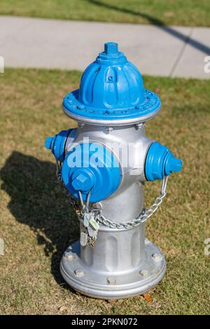 Ein Hydrant in Silber und Blau mit Gras im Hintergrund Stockfoto