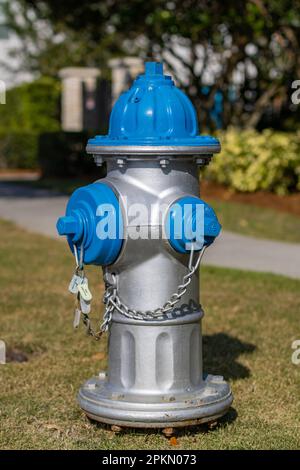 Ein Hydrant in Silber und Blau mit Gras im Hintergrund Stockfoto