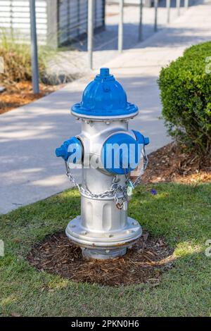 Ein Hydrant in Silber und Blau mit Gras im Hintergrund Stockfoto