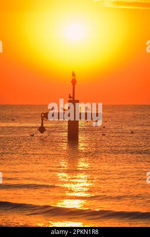 Sommermorgen Küstenlandschaft. Sonne und Vögel über der Ostsee. Foto am Strand in Gdynia, Polen. Stockfoto
