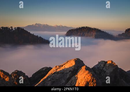 Fabelhafte farbenfrohe Herbstlandschaft. Magischer Morgen in den polnischen Bergen. Foto auf dem Gipfel der Sokolica in Pieniny, Polen. Stockfoto