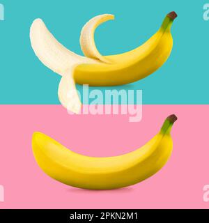 Kreatives Layout aus geschlossener und offener Banane auf pinkfarbenem und blauem Hintergrund Stockfoto