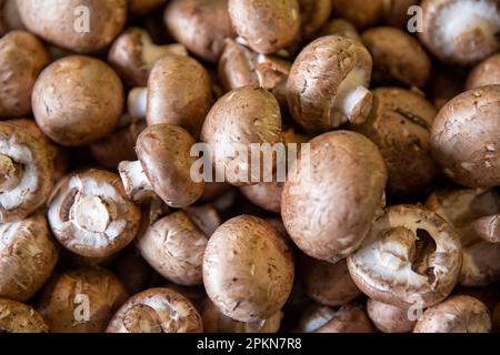 Ein Hintergrund von Braunen Crimini-Pilzen Stockfoto