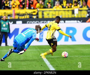 Dortmund, Deutschland. 8. April 2023. Youssoufa Moukoko (R) von Dortmund schießt beim deutschen Bundesliga-Fußballspiel in der ersten Liga zwischen Borussia Dortmund und Union Berlin in Dortmund, Deutschland, am 8. April 2023. Kredit: Ren Pengfei/Xinhua/Alamy Live News Stockfoto