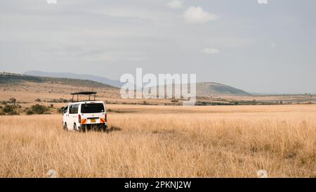 Safariwagen im offenen Savannah Stockfoto