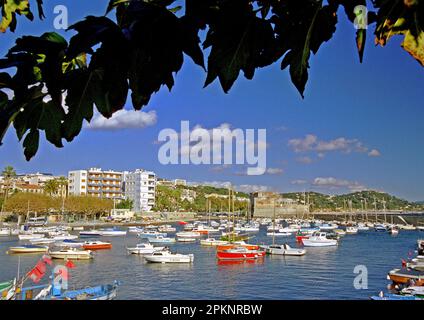 Schöner kleiner Hafen St. Louis du Mourillon in der Toulon Provence Stockfoto