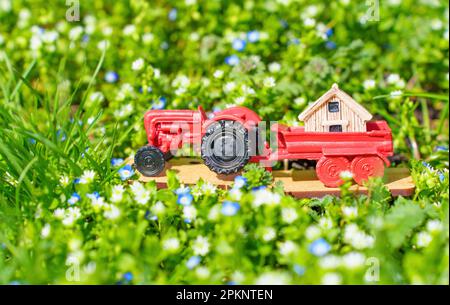 Umzug im Frühling: Spielzeugtraktor, der ein Miniaturhaus auf einem Blumenbeet mit grünem Gras und bunten Blumen schleppt. Kreative Erinnerung an die Freude des Umzugs Stockfoto