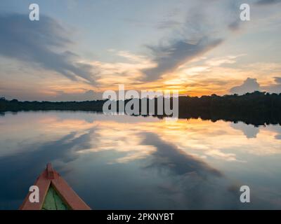 Fantastischer grüner Amazonas-Dschungel über der Jaguar Lagune (Onza Lagune).während der Sonnenuntergangszeit Amazonien. Brasilien. Südamerika Stockfoto