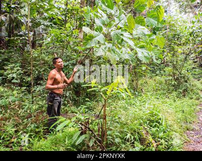 Leticia, Kolumbien - Dez. 2021: Indianer vom Huito-Stamm. Ein Amazonier. Amazonien. Lateinamerika. Stockfoto