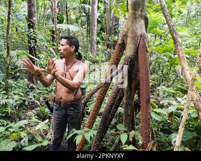 Leticia, Kolumbien - Dez. 2021: Indianer vom Huito-Stamm. Ein Amazonier. Amazonien. Lateinamerika. Stockfoto