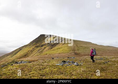 Walker auf dem Weg zum NAB auf Wild Boar Fell, Cumbria, Großbritannien Stockfoto