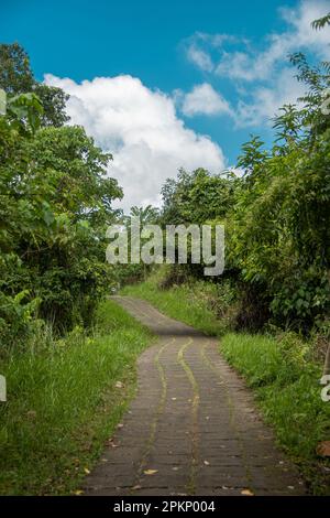 Der Campuhan Ridge Walk auf der indonesischen Insel Bali Stockfoto