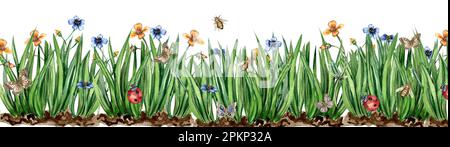 Wasserfarbener, nahtloser horizontaler Hintergrund mit Gras, Insekten und Blumen. Schmetterlinge im Cartoon-Stil. Handregen Darstellung der Feder. Stockfoto