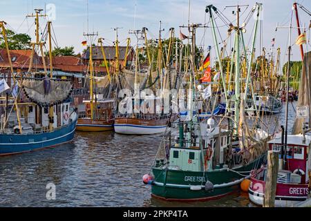 Krabbenfräser im Hafen von Greetsiel, die größte Flotte in Ostfriesien, Greetsiel, Ostfriesien, Niedersachsen, Deutschland, Europa Stockfoto