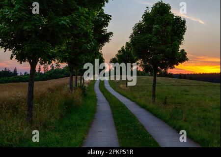 Wanderweg in der Nähe von Güntersberge im Harz Sonnenuntergang Stockfoto