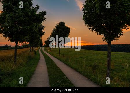 Wanderweg in der Nähe von Güntersberge im Harz Sonnenuntergang Stockfoto