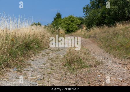 Klettern Sie in der Nähe von Stiege in den oberen Harz-Bergen Stockfoto